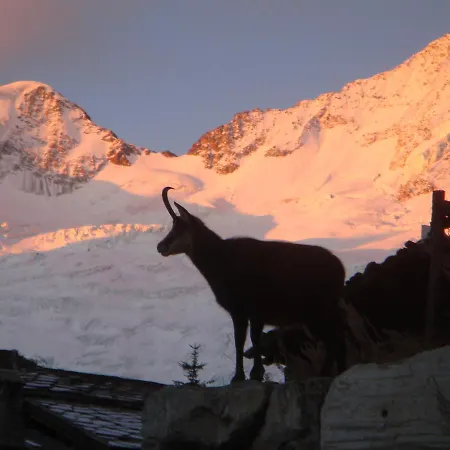 Stirling Luxury & * Saas Fee