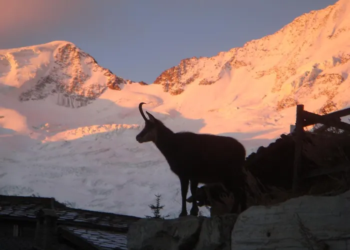 Stirling Luxury & * Saas Fee